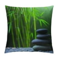 thumbnail image 1 of Orinice Bamboo Tree Graphic Decorative Cushion Throw Pillow Cover for Home Living Room Bed Sofa, Men Women Boy Girl Room Pillow Covers, Year-Round Use, Printed on Both Sides, 1PC 24x24in, 1 of 5