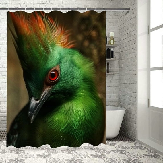 Orinice Bird Green Red-Eye Bathroom Decor Set with Hooks, Colorful Luxurious Graphic Print Polyester Fabric Shower Curtain for Chic Modern Bathroom Decor, Multi-Size, Brand New Style 60x72