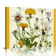 thumbnail image 1 of Orinice  Botanical Prints Wall Art Ink Inc - Woodland Plants Wildflower Mushrooms Ferns Berries  20x16in, 1 of 6