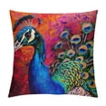 thumbnail image 1 of Orinice Colorful Feathers Graphic Decorative Cushion Throw Pillow Cover for Home Living Room Bedroom, Soft and Durable 1PC 22x22in, 1 of 5