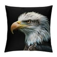 thumbnail image 1 of Orinice Condor Graphic Decorative Pillowcase for Home Sofa Living Room Bed Sofa - Durable Multi-purpose - Concealed zipper closure - Easy to clean and care for - Short plush pillows included -, 1 of 5