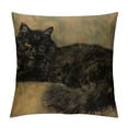 thumbnail image 1 of Orinice Cute Cat Graphic Decorative Throw Pillow Cover for Home Couch Living Room Bed Sofa - High-Quality Short Plush Material - Invisible Zipper Design - 1PC 22x22in, 1 of 5
