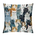 thumbnail image 1 of Orinice Cute Cat Graphic Decorative Throw Pillow Cover for Home Couch Living Room Bed Sofa - Short Plush Material - 1PC 24x24in, 1 of 5