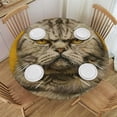 thumbnail image 1 of Orinice Cute Cat Round Table Cover Stain Resistant Washable Indoor Outdoor Tablecloth Kitchen Dining Wedding Parties Full Width Single-Sided Printing 100% Polyester Fiber 38-42, 1 of 8