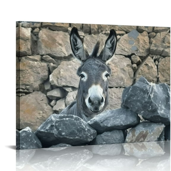 Orinice Donkey Paintings Canvas Wall Art Farmhouse Animal Pictures For Bathroom Black And White Rustic Canvas Print Funny Donkey Pictures Donkey For Wall Country Vintage Artwork 20x16in