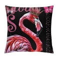thumbnail image 1 of Orinice Flamingo Crown Pink Graphic Decorative Throw Pillow Cover Short Plush Aesthetic Decor for Home Couch Living Room Bed Sofa - 1PC 18x18in, 1 of 5