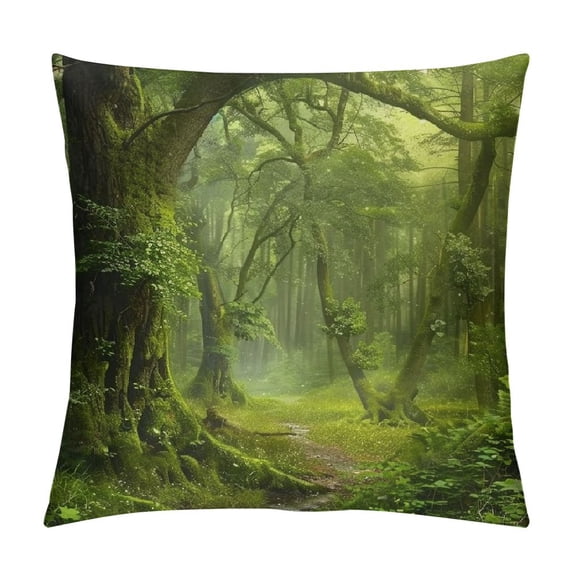 Orinice Forest Path Stream Graphic Decorative Pillow Cover for Home Couch Living Room Bed Sofa 22x22in
