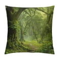 thumbnail image 1 of Orinice Forest Path Stream Graphic Decorative Pillow Cover for Home Couch Living Room Bed Sofa 24x24in, 1 of 5