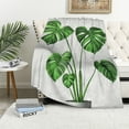 thumbnail image 1 of Orinice Green Potted Plant Flannel Throw Blanket Monstera Tropical Plant Warm Lightweight Cozy Blanket for Bedroom Living Rooms Sofa Couch  60x80in, 1 of 6
