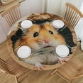 thumbnail image 1 of Orinice Hamster Round Tablecloth Stain Resistant and Washable for Indoor Outdoor Kitchen Dining Wedding Parties 100% Polyester Fiber 38-42, 1 of 8