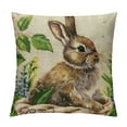 thumbnail image 1 of Orinice  Happy Easter Quote Words Throw Pillow Covers Cute Animal Rabbit Bunny Head Cotton Linen  Cushion Case with Green Leaves Square Pillowcase Farmhouse Decorations (Rabbit Leaves) White, 1 of 5