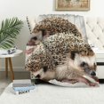 thumbnail image 1 of Orinice  Hedgehog Throw Blanket, Atelerix Albiventris Photography with Mother and Love and Family Theme, Flannel Fleece Accent Piece Soft Couch Cover for Adults,  50x60in, 1 of 6