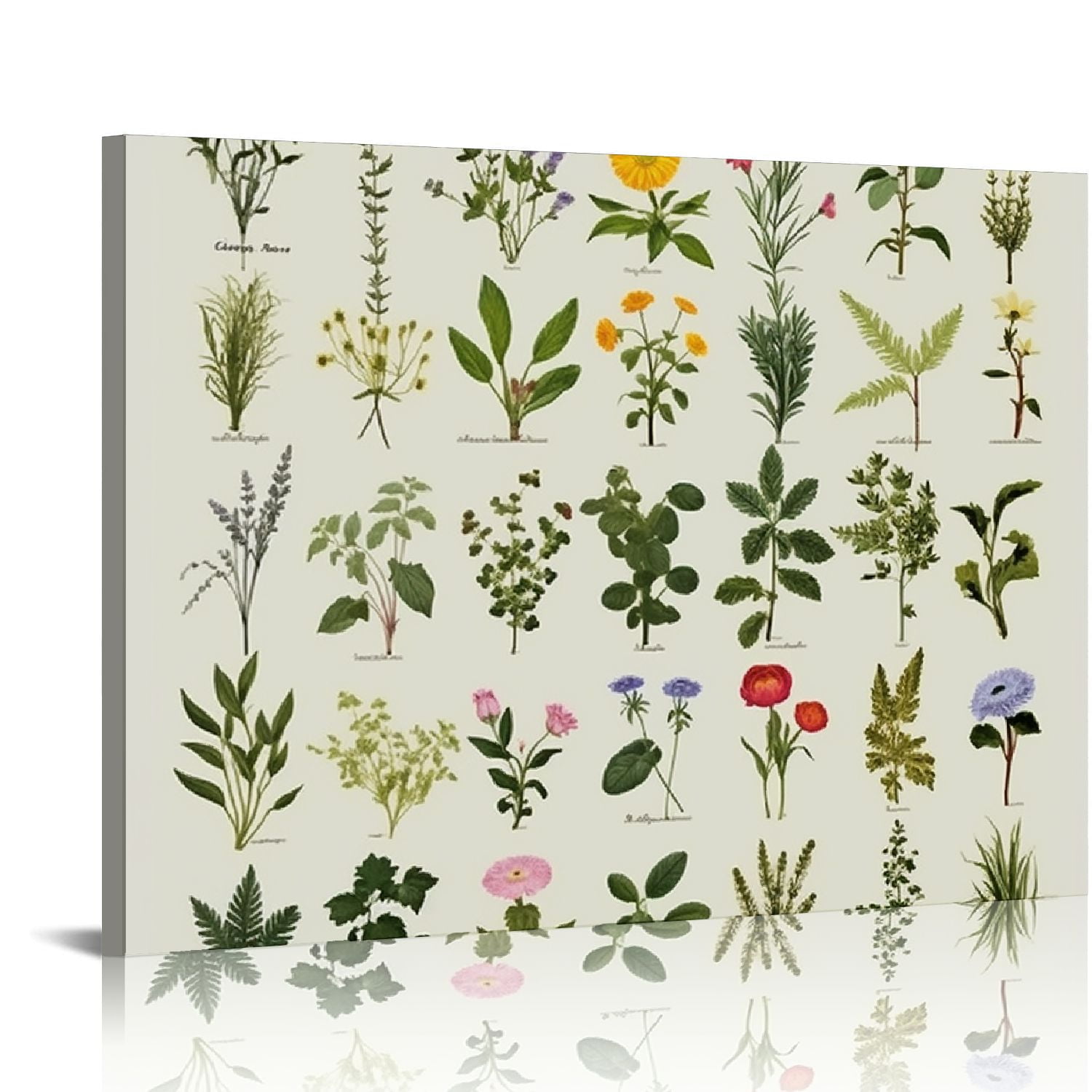 Orinice Herb Pictures for Kitchen Wall Art Kitchen Herbs Wall Art and