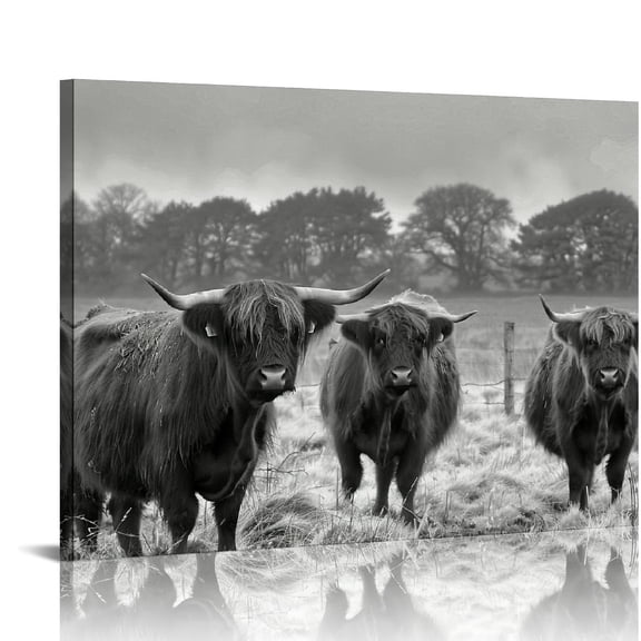 Orinice Highland Cow Pictures Wall Decor, Highland Cow Print, Cow Print Wall Decor, Cow Pics and Cow Decor, Cow Posters, Black and White Cow Wall Art, Black and White 20x16in