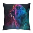 thumbnail image 1 of Orinice Lion Graphic Decorative Throw Pillow Cover for Home Couch Living Room Bed Sofa - Short Plush Material, Invisible Zipper Closure, 1PC 24x24in, 1 of 5