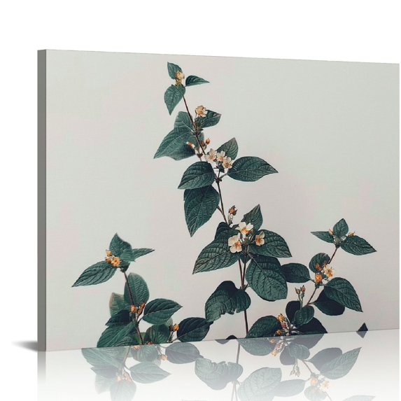 Orinice Minimalist Botanical Farmhouse Wall Art Poster Print, Boho Flower Decoration Prints, Aesthetic Floral, Nature Pictures for Bedroom, Bathroom, Kitchen, Office Decor Unframed Posters 20x16in