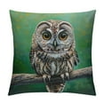 thumbnail image 1 of Orinice Owl Branch Green Background Graphic Decorative Cushion Throw Pillow Cover 22x22in, 1 of 5