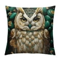 thumbnail image 1 of Orinice Owl Gold Accents Green Rocks Graphic Decorative Cushion Throw Pillow Cover for Home Couch Living Room Bed Sofa Soft and Durable Pillow Covers 1PC 12x12in, 1 of 5