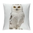 thumbnail image 1 of Orinice Owl Graphic Decorative Cushion Throw Pillow Cover for Home Couch Living Room Bed Sofa Square Car Bedroom 1PC 20x20in, 1 of 5