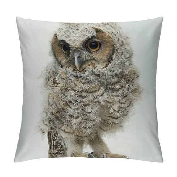 Orinice Owl Graphic Decorative Throw Pillow Cover for Home Couch Living Room Sofa Bedroom - Aesthetic Design, Multipurpose Use, 1PC 20x20in
