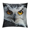 thumbnail image 1 of Orinice Owl Yellow Eyes Symbolism Graphic Decorative Throw Pillow Cover Short Plush for Home Couch Living Room Bed Sofa, Multipurpose Use, 1PC 24x24in, 1 of 5