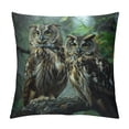 thumbnail image 1 of Orinice Owls Branch Forest Decorative Throw Pillow Cover for Home Couch Living Room Sofa - Cotton Linen Fabric - 1PC 20x20in, 1 of 5