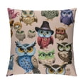 thumbnail image 1 of Orinice Owls Hats Glasses Graphic Decorative Cushion Throw Pillow Cover for Home Couch Living Room Bed Sofa, Short Plush Soft and Durable 1PC 18x18in, 1 of 5