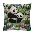 thumbnail image 1 of Orinice Panda Graphic Decorative Throw Pillow Cover for Home Couch Living Room Bed Sofa - High-Quality Short Plush Material - Invisible Zipper Design - 1PC 24x24in, 1 of 5