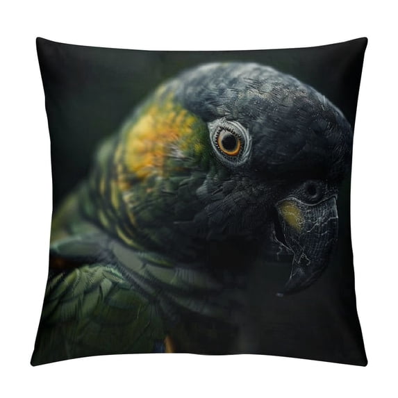 Orinice Parrot Graphic Decorative Pillow Cover for Home Couch Living Room Bed Sofa 24x24in