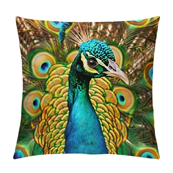 Orinice Peacock Feathers Colors Graphic Decorative Cushion Throw Pillow Cover for Home Couch Living Room Bed Sofa Zipper Closure 1PC 20x20in