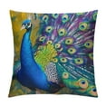 thumbnail image 1 of Orinice Peacock Feathers Graphic Decorative Cushion Throw Pillow Cover for Home Couch Living Room Bed Sofa Short Plush All Seasons Suitable Home Decor 1PC 24x24in, 1 of 5