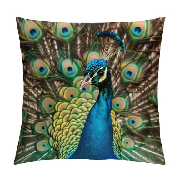 Orinice Peacock Feathers Graphic Decorative Cushion Throw Pillow Cover - Men Women Boy Girl Room Pillowcase for Home Couch Living Room Bed Sofa - 1PC Pack 22x22in