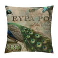 thumbnail image 1 of Orinice Peacock Feathers Graphic Decorative Cushion Throw Pillow Cover Zipper Closure for Home Couch Living Room Bed Sofa - Multipurpose Pillow Cover 1PC 24x24in, 1 of 5