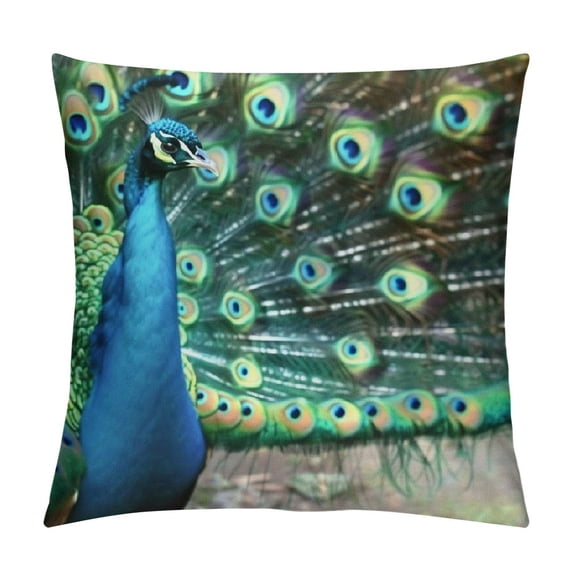 Orinice Peacock Feathers Graphic Decorative Pillow Cover for Home Couch Living Room Bed Sofa - High-Quality, Multipurpose Use, 1PC 24x24in