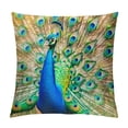 thumbnail image 1 of Orinice Peacock Feathers Graphic Decorative Throw Pillow Cover for Home Couch Living Room Bed Sofa - Soft and Durable 1PC 24x24in, 1 of 5