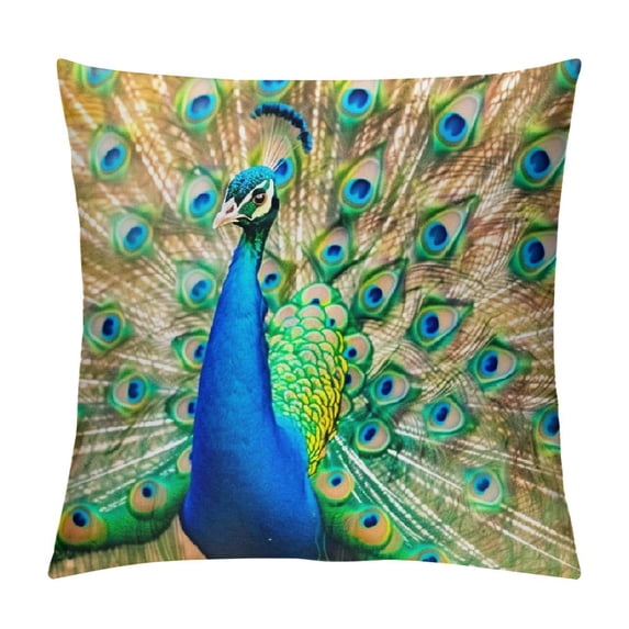 Orinice Peacock Feathers Graphic Decorative Throw Pillow Cover for Home Couch Living Room Bed Sofa - Soft and Durable 1PC 24x24in