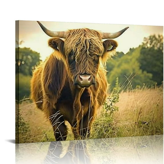 Orinice Photo Farm Livestock Animal Highland Cow Calf Scotland Large Art Print Poster Wall Decor 20x16in