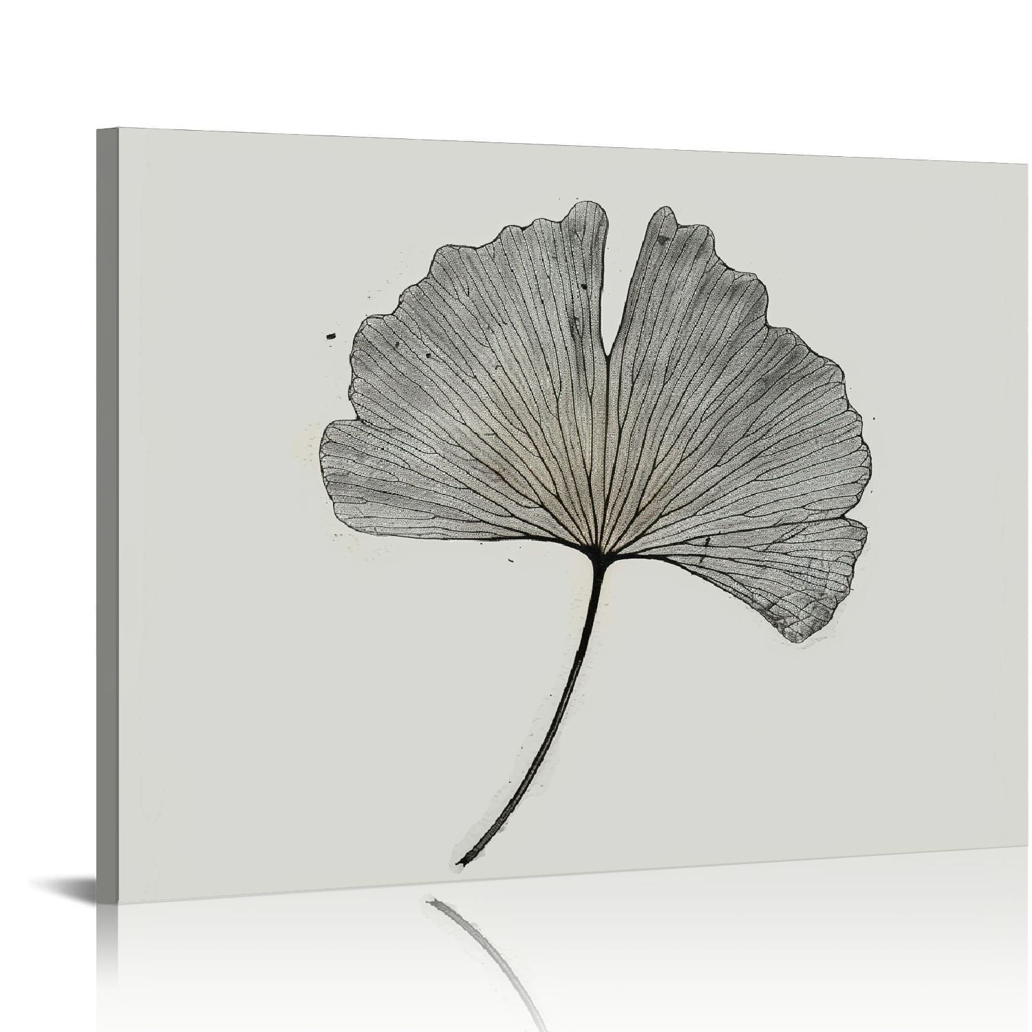 Ginkgo Leaf Black and White Botanical Print in Oak Frame