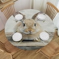 thumbnail image 1 of Orinice Rabbit Round Table Cover Stain Resistant Washable Indoor Outdoor Tablecloth Kitchen Dining Wedding Parties 100% Polyester Fiber 31-35, 1 of 8