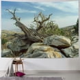 thumbnail image 1 of Orinice Rocks Desert Tapestry Wall Hanging Unique Style Graphic Tapestries Home Wall Decor for Living Room Bedroom Apartment Farmhouse 40x60inch, 1 of 6