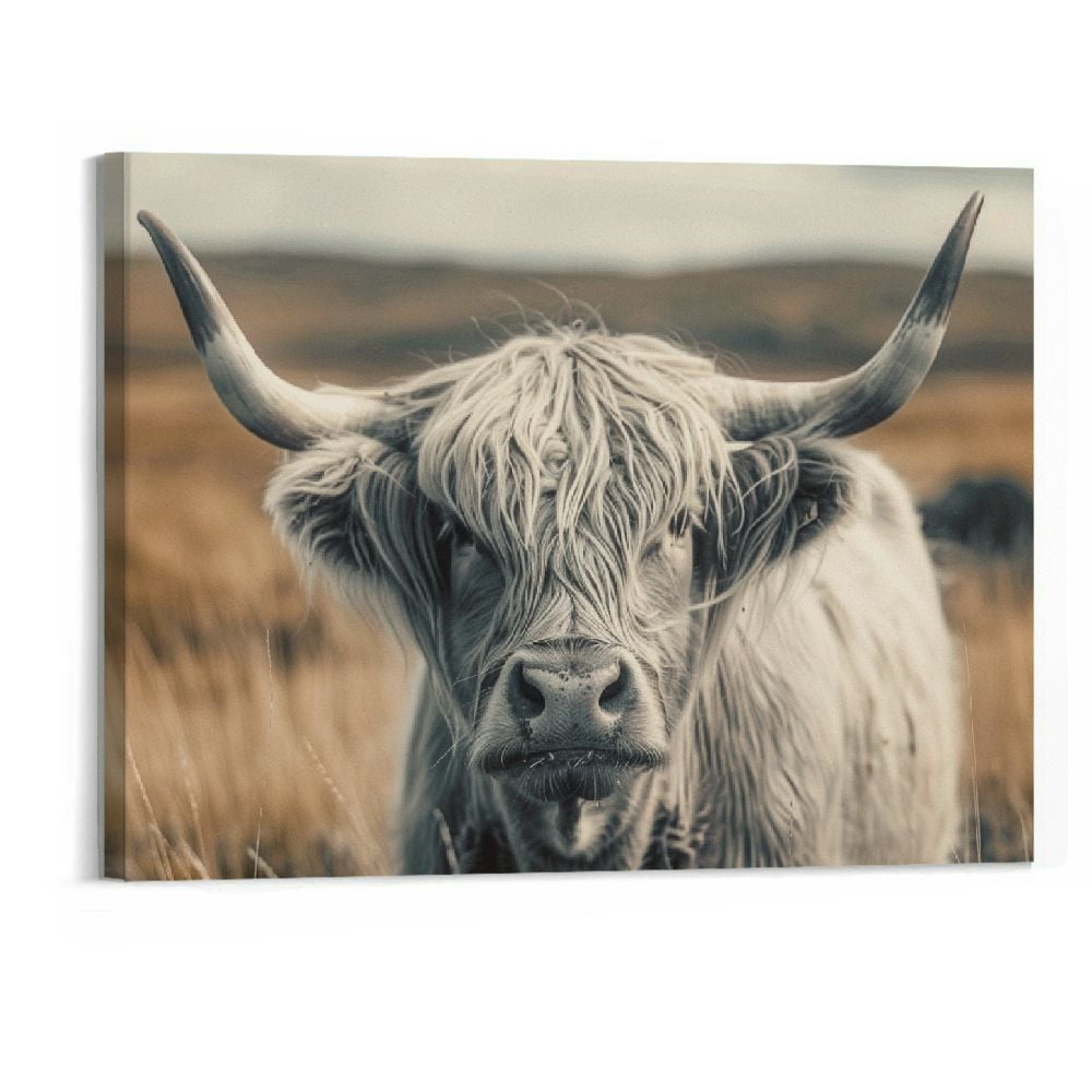 Highland Cow Black and White Canvas Wall Art 16x20