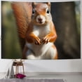 thumbnail image 1 of Orinice  Squirrel Funny Animal Tapestry Wide Wall Hanging Vintage Lightweight Wall Blanket Funny Tapestry Wall Art Home Decor Soft Mural for Bedroom Dorm Living Room  50x40inch, 1 of 6