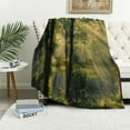 thumbnail image 1 of Orinice Sunbeams Warm Lightweight Blanket Soft Fleece Throw Blanket for All Seasons, Cow Gifts, Multiple Sizes 40''x50'' 50''x60'' 60''x80'' 50x60in, 1 of 6