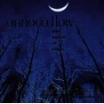 thumbnail image 1 of Orinoco Flow: Enya for Orchestra [Audio CD] Taliesin Orchestra and Enya, 1 of 3
