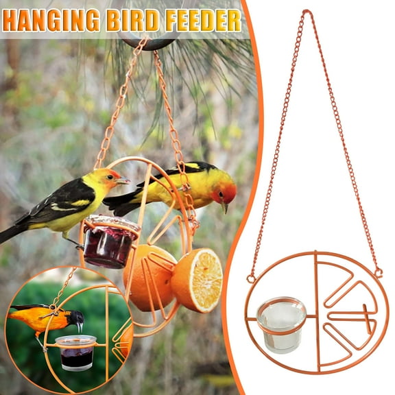 Oriole Bird Feeder, 7.9X3 Inch Hanging Metal Bird Feeder,Detached Bowl Design,Orange Fruit Feeder,Great for Garden,Outdoor,Gift Orange