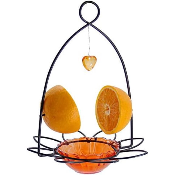 Oriole Bird Feeder, Orange Fruit Oriole Feeder