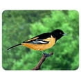 thumbnail image 1 of Oriole Coasters, 1 of 1