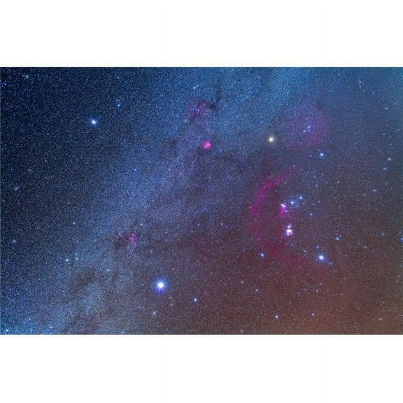 Orion & The Winter Triangle Stars 17 x 11