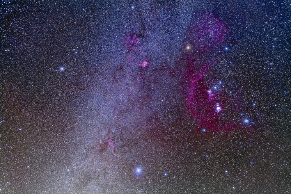 Orion and Canis Major showing dog stars Sirius and Procyon Canvas Art - Alan DyerStocktrek Images (34 x 23)