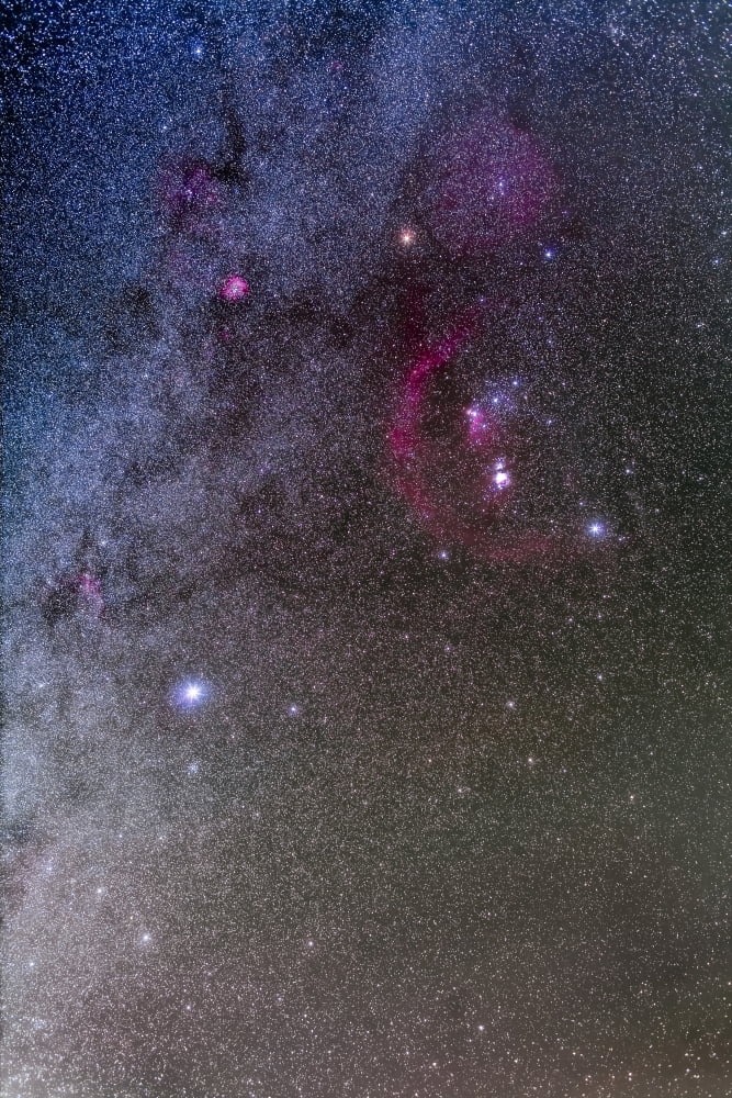 Orion and Canis Major with the dog star Sirius at lower left Canvas Art - Alan DyerStocktrek Images (23 x 34)